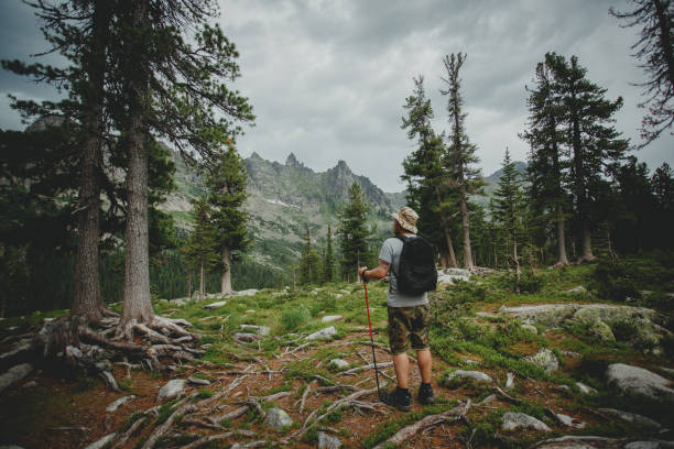istock Man hiking in mountains with backpack in wildlife nature 1222386516