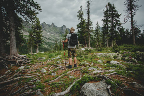 istock Man hiking in mountains with backpack in wildlife nature 1222386538