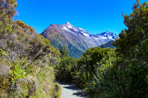 monte christina da key summit, routeburn track, isola del sud nuova zelanda - te anau foto e immagini stock