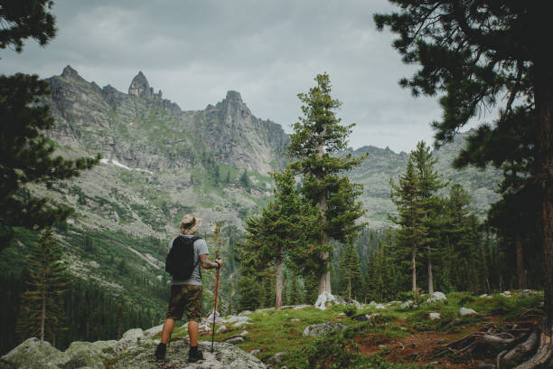 istock Man hiking in mountains with backpack in wildlife nature 1222386588