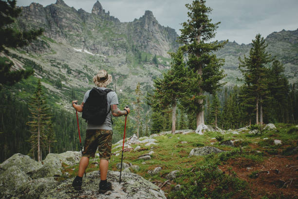 istock Man hiking in mountains with backpack in wildlife nature 1222386620