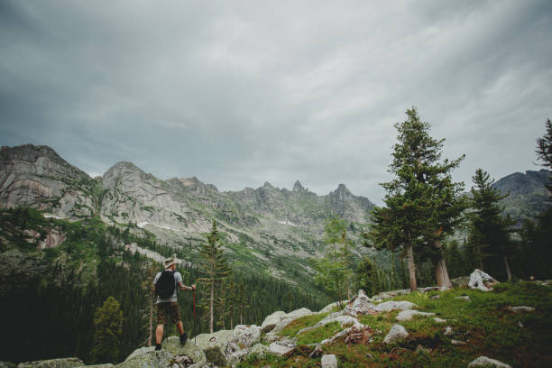 istock Man hiking in mountains with backpack in wildlife nature 1222386717