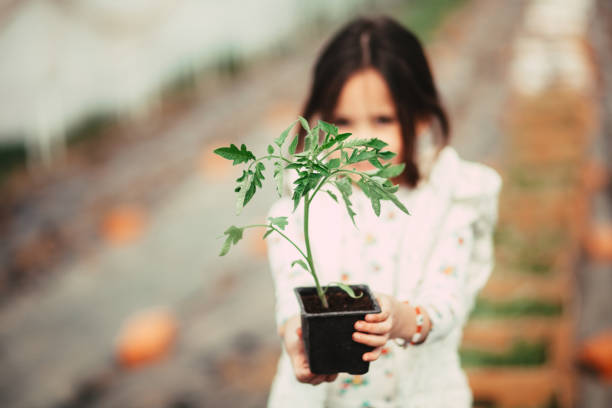 Garden, Beginnings, Botany, Care, Child
