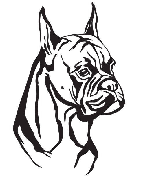 개 복서 벡터 일러스트의 장식 초상화 - white background side view dog boxer stock illustrations