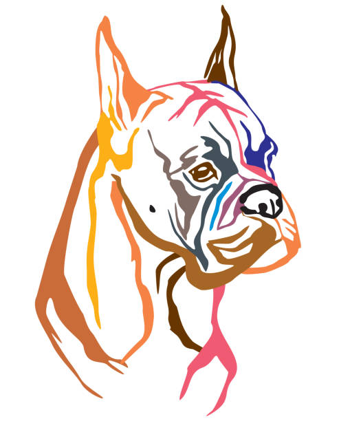 개 복서 벡터 일러스트의 다채로운 장식 초상화 - white background side view dog boxer stock illustrations