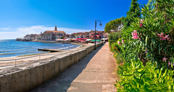 istock Town of Umag waterfront and coastline panoramic view 1222392510