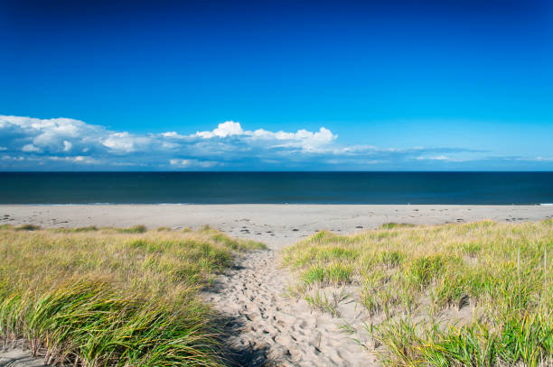 istock Race Point Beach Cape cod national seashore landscape 1222395260