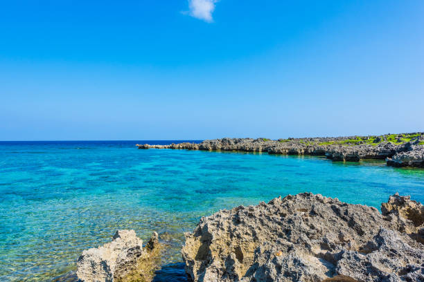 istock Beautiful beach in Okinawa. 1222397061
