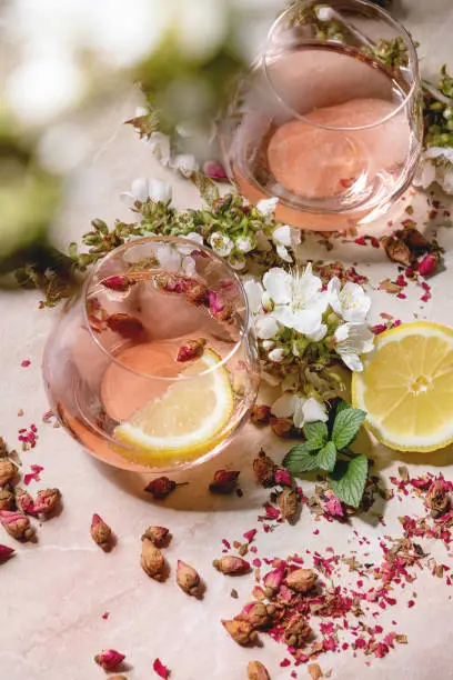 Cocktail glasses of pink rose champagne, cider or lemonade with dry rose buds, lemon and mint. Blossom cherry branches above. Pink marble background.