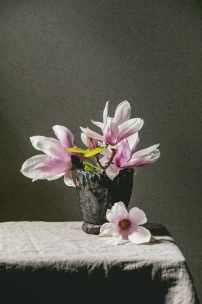 istock Bouquet of Magnolia flowers 1222399211