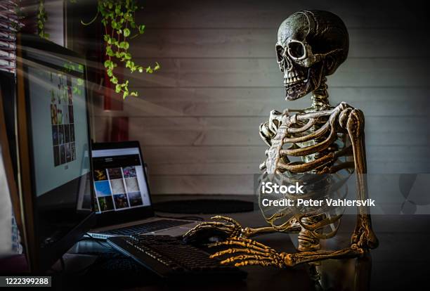 Human Skeleton At Office Stock Photo - Download Image Now - Halloween, Human Skeleton, Boredom