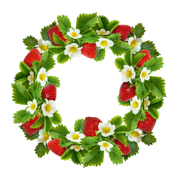 istock Strawberries round frame with flowers, berries, leaves 1222399833