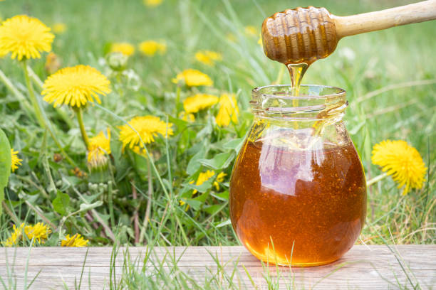 Homemade dandelion honey or syrup in rustic glass jar. Liquid honey pouring down from a wooden dipper in garden of dandelions. Concept of natural, countryside, organic and healthy product stock photo