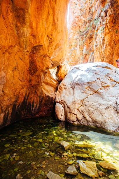 istock Standley Chasm near Alice Springs in Australia 1222407567