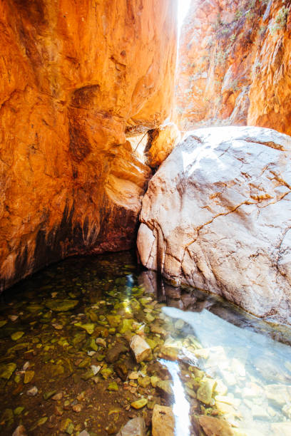 istock Standley Chasm near Alice Springs in Australia 1222407569