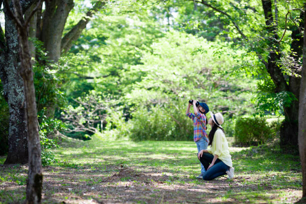 мать и дочь играют с биноклем в лесу - healthy lifestyle nature sports shoe childhood стоковые фото и изображения