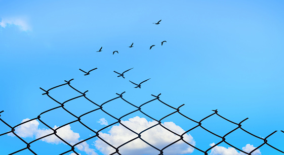 Broken Chainlink Fence with Bright Blue Sky and Birds Flying, Fight for Better Life concept, Think out of the box and Free your mind concept