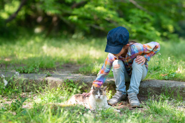 girl playing with a cat - healthy lifestyle nature sports shoe childhood imagens e fotografias de stock