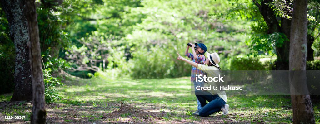 Mother and daughter playing with binoculars in the woods Family Stock Photo