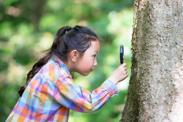 istock Girl observing with a magnifying glass 1222408388