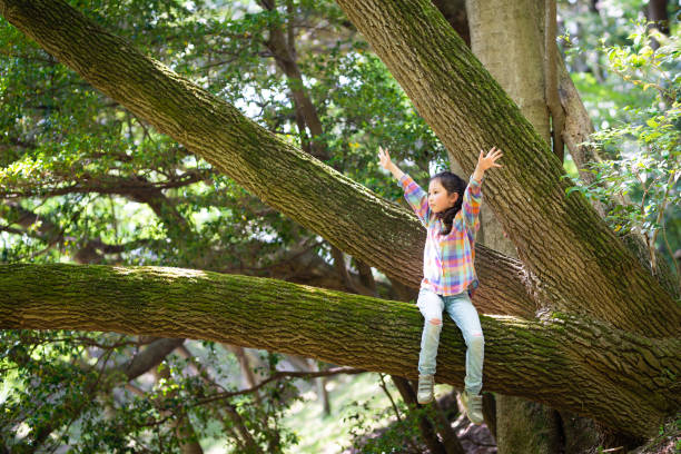 Girl climbing a tree and open her arms Girl climbing a tree and open her arms forest bathing photos stock pictures, royalty-free photos & images