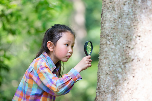 Girl observing with a magnifying glass