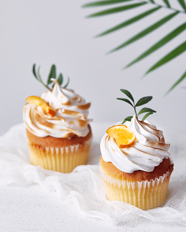 Homemade cupcakes decorated with lemon and leaves on white background. Free space for your text