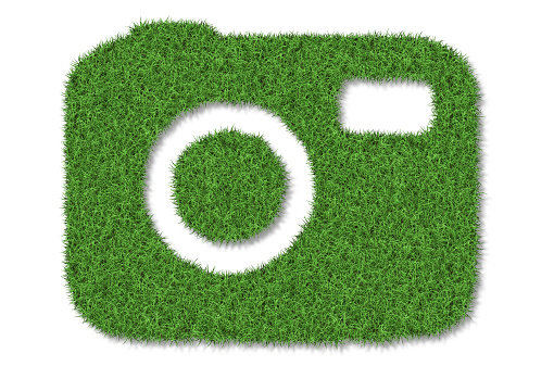 Camera shape made from grass