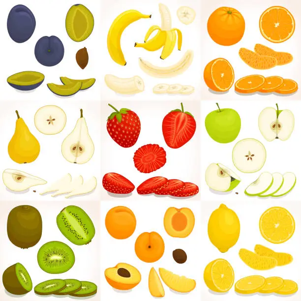Vector illustration of Set of various whole and sliced fruit. Vector illustration.