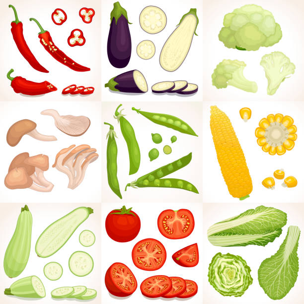 Vector vegetable set. Set of vegetables. Different vegetables whole, half and sliced isolated on background. Vector illustration. tomato slice stock illustrations