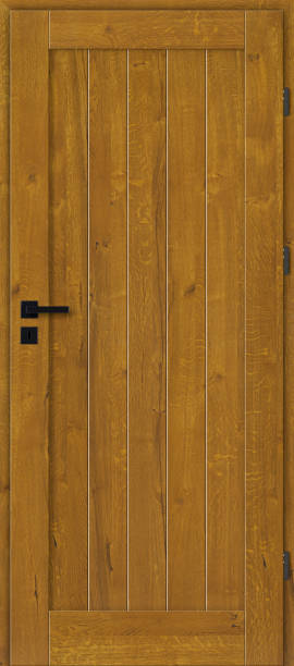 istock Wooden interior doors 1222416781