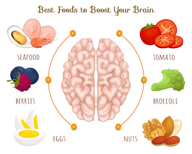 Food is good for the brain. Vector illustration. Informative banner on the theme of food, diets and health. The best food for a healthy brain and good memory. A set of products useful for the mind. Vector infographics. Diet for the brain. Information banner. food recall stock illustrations