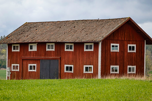 Meadow in Valley in Austria having lots of small houses like barns storing food for the animals for the winter.