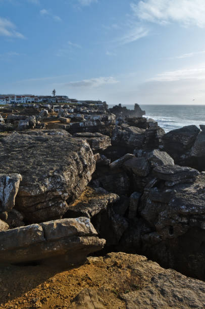 istock On the cliffs of the coast of Peniche 1222419287