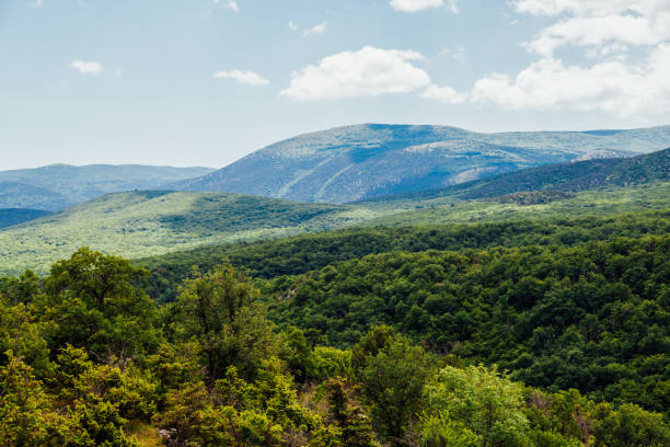 istock landscape of beautiful forest nature with fields and blue sky 1222420538