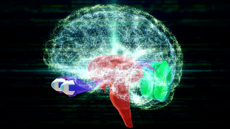 Brain Scan Learning 280+ Brain Scans Learning Stock Videos and Royalty-Free Footage - iStock