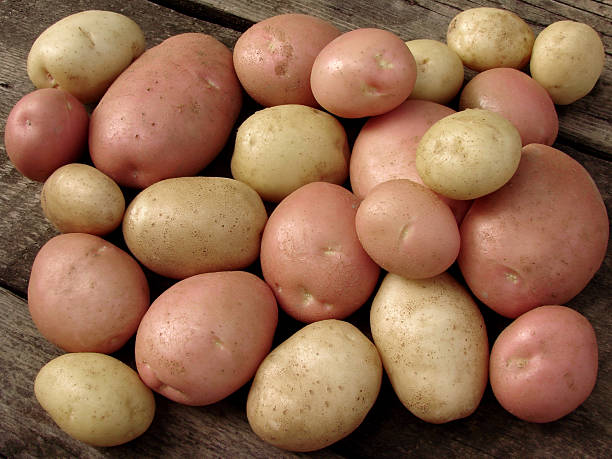 istock harvested potato tubers 122242126