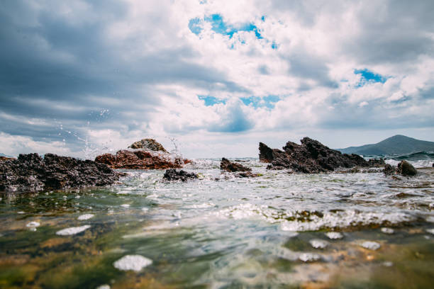Seaweed and sea waves at a coastline by summer