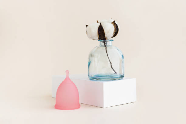 istock Menstrual cup with white cotton flower on pastel background. Minimal monochrome creative picture. 1222422528