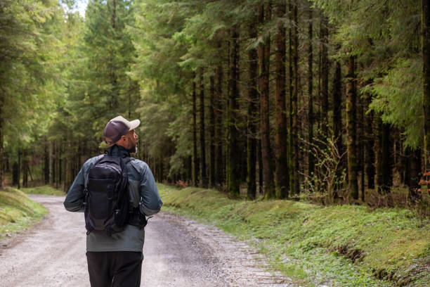 istock Man Hiking in the beautiful Spruce Forest 1222424227