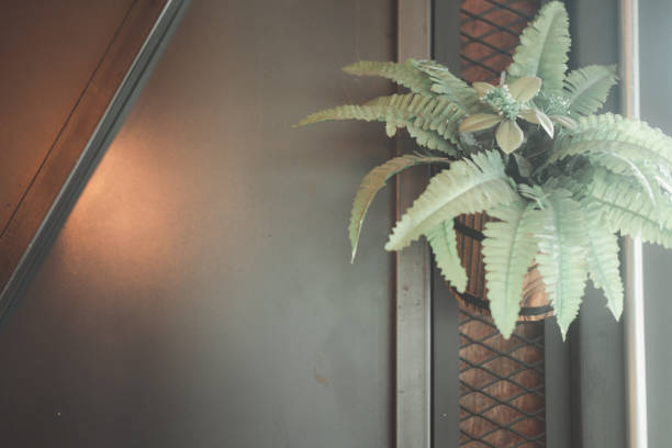 istock House plant displayed on wooden wall in restaurant. Decoration in home 1222427310