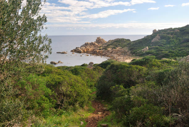 istock View of Capo Ferrato 1222427432
