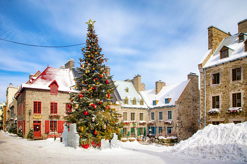 Quebec City Place Royale Winter time decorated for Christmas with the huge Tree and piles of snow on the edges.