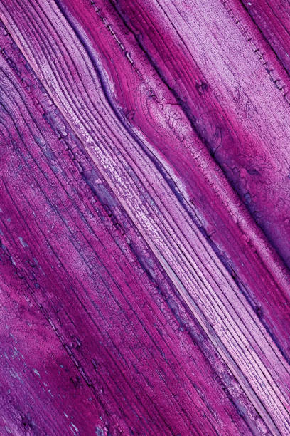 istock Lilac wooden background vertical. Phone screensaver template 1222427756