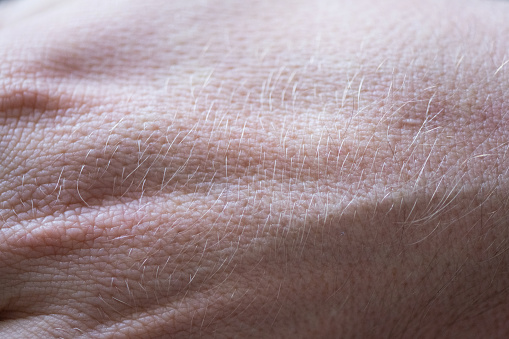 Abstract Skin Texture of Caucasian Man's Hand