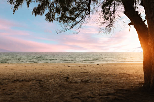 istock sunset on beach and sea background. summer season. 1222428779