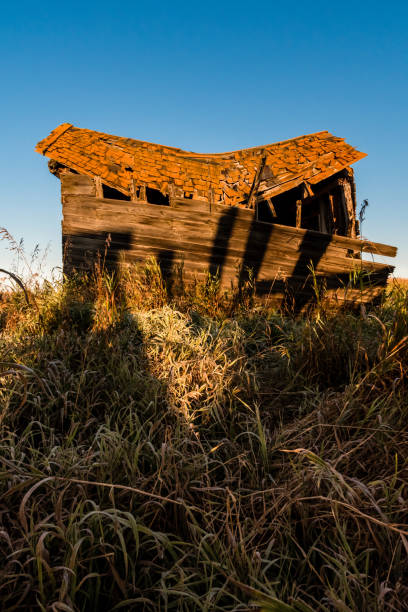 istock Rustic old granary falling down in field, Parkland County, rural Alberta. 1222429012