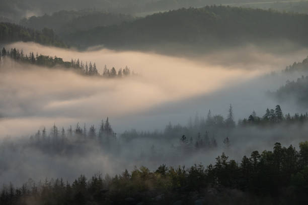 istock foggy morning in Saxon switzerland, saxony, germany 1222430250