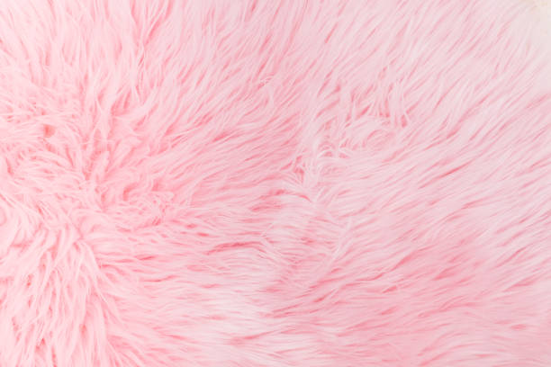pelliccia morbida in fibra lunga rosa chiaro - lanuginoso foto e immagini stock