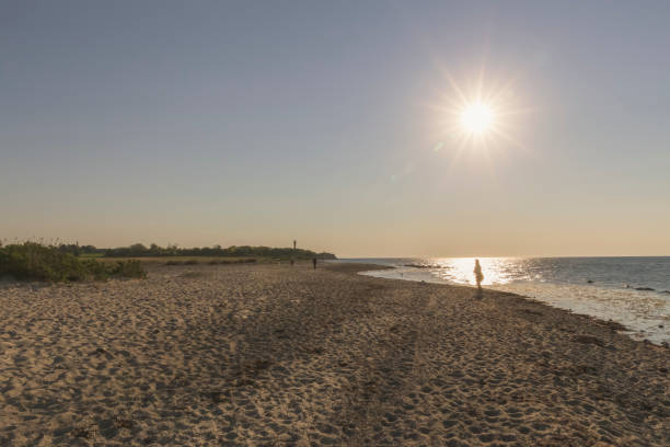 istock lonely hiking on the beach 1222432279